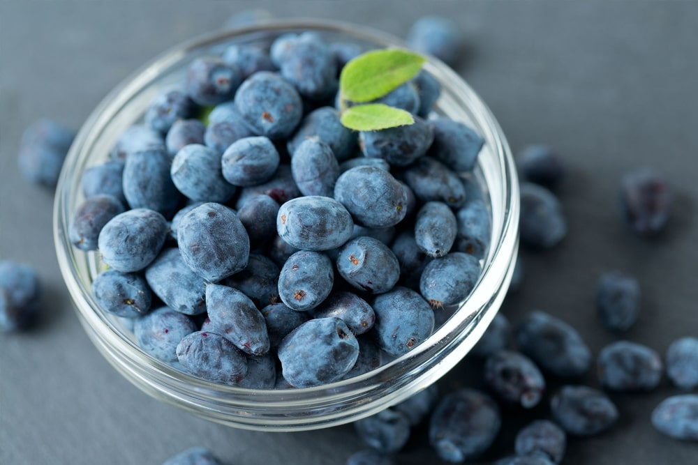 Top 10 Health Benefits of Haskap Berries